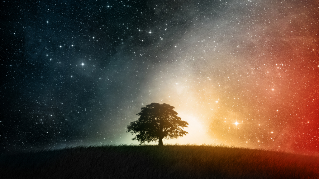 tree-meditation-insight-tharyn Tree Meditation by Tharyn
