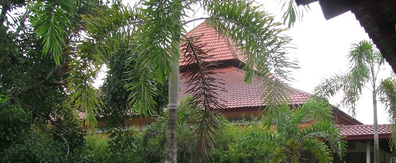 8 Experiences and Insights From a 10 Day Vipassana Meditation Retreat