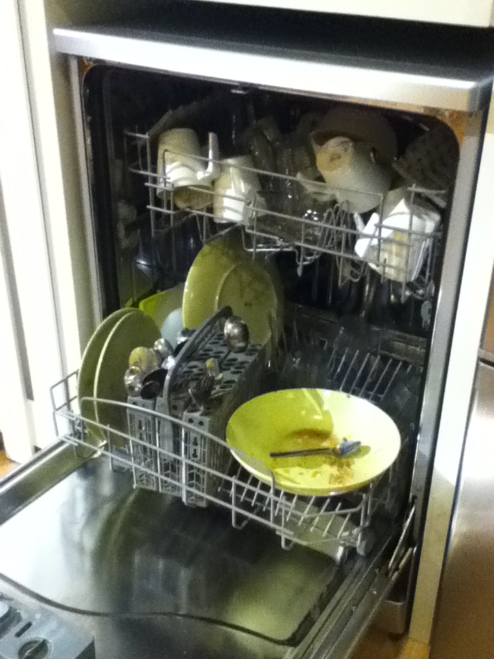You might wonder, "Who the fuck put this in the dishwasher?"