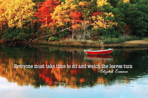 reflection-quote-jamart-photography1