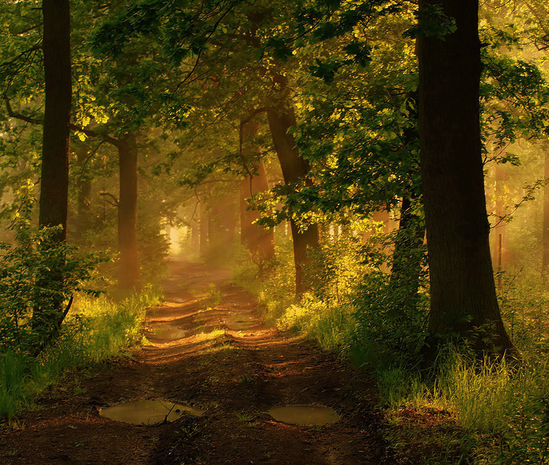 The Path of Patience to Omega