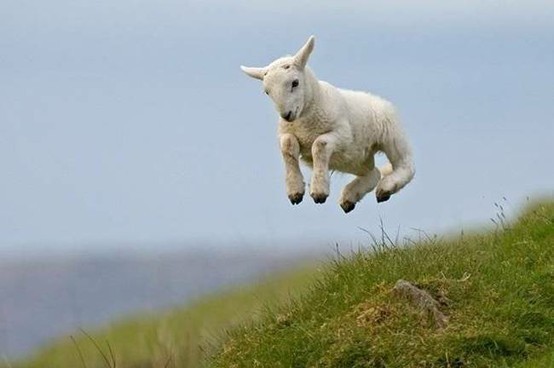 Happy for no reason, like this little guy. :) 