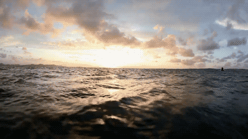 How To Steer The Momentum of Your Vibration